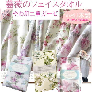 y[֑z KN̂픧dK[[tFCX^Iy{^Iz@yAX̎ԁz