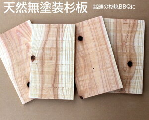 yYBBQo[xL[zPLUNK BBQ S(20x12)4ZbgLv iē@C`@Ăp@{薁dグ