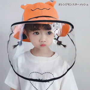 S̃tFCXK[htXq IWX^[bV@EBXK[h@tFCXV[htnbg