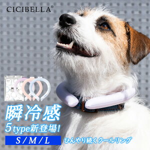 ACXlbNoh ybgp N[O cicibella ACXN[O lbNN[[ ⊴O X}[gACX ON[ ΍ p N[VO ybg   ⊴ ObY