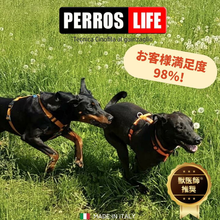 楽天市場】犬用ハーネス 大型犬用 【PERROS ペルロスハーネス L(PA25/M 