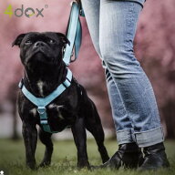 犬用リード【4dox スイッチリーシュ】多機能 4Way 長さ調整 2頭引き対応 クッションパッド付き 散歩＆ト…