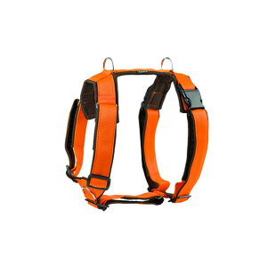 pn[lX ^/ ^/ ^y4dox RtH[gvXn[lXz XXS`LTCY Up hbOg[i[ Syɂ ϋvQ ȉP 5ӏ\ S