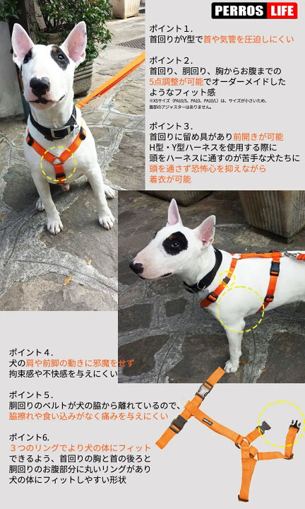 楽天市場】犬用ハーネス 小型犬 中型犬【PERROS ペルロスハーネス S 
