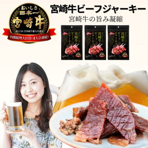 yAt^[Z[N[|zyʊLz{苍 W[L[ r[tW[L[ Y 30g Iׂ鐔 IׂZbg Hא؂ ƈ ܂ 퉷 gтɕ֗ ^pE` ܂Ƃߔ 