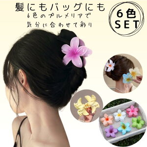 yX[p[Z[20%OFFN[|zy6ZbgzvA wANbv oXNbv   fB[X    t[ ܂Ƃߔ cq ɂȂ ~ 傫 Jt