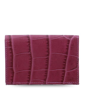 t@Ct@bNX h NVbN NbN rWlXJ[hz_[ filofax classic croc {v qv C^AJ[tU[