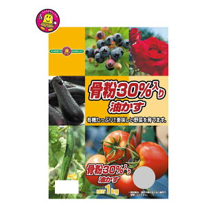 SUNBELLEX(�T���x���b�N�X)�@����30�����������(����)�@1kg×10��