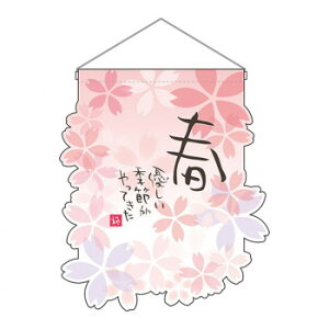 N-UC�݉��� 26913 �t