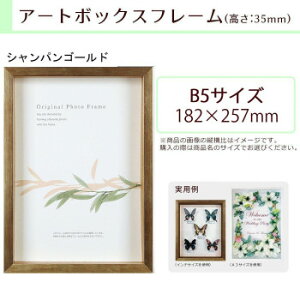 A.P.J. BOX�t���[�� �A�[�g�{�b�N�X�t���[��(����:35mm) B5�T�C�Y(182×257mm) �V�����p���S�[���h 0021768719