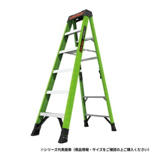 Little Giant FRP�r�� �G�[�t�H�[�X300 LG-15798 10840
