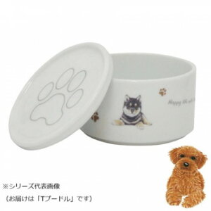 ���R�� �X�^�b�J�[SET(��) T�v�[�h�� Wa-se100-S22