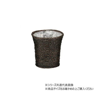 �勴�V�����X �O���X�o�X�P�b�gK6�� 19-796