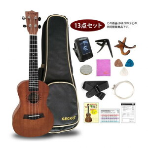 GECKO(�Q�b�R�[)×�A�[�o���ʏ� �E�N����(�[����13�_�Z�b�g) 23�C���` �R���T�[�g U23M NA