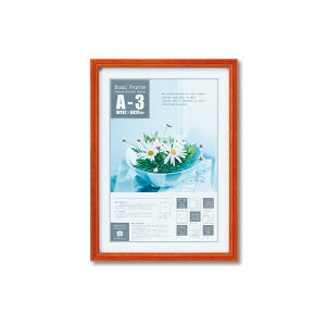 ���[�p���[ �x�[�V�b�N �t���[�� A3�T�C�Y(�i�`������) BS-01812