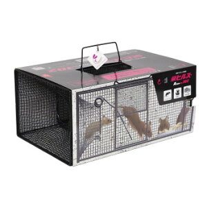 �h�q���Y�@�n�c�J�l�Y�~�p�ߊl��@A type No.102�@NZ-2