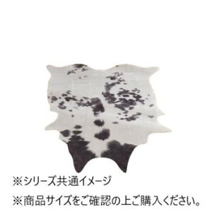 �t�F�C�N�J�E���U�[A 77x100cm �uGSCD1008992�v