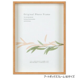 A.P.J. BOX�t���[�� �A�[�g�{�b�N�X�t���[��(����:35mm) B3�T�C�Y(364×515mm)�@�p�X�e���I�����W�E0021768450