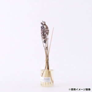 �u���̔� �G�b�Z���V�����I�C���̃f�B�t���[�U�[���h���C�t�����[�̃Z�b�g LAVENDER 250028B