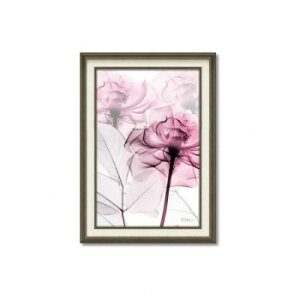 X RAY �L�����o�X�A�[�g�u�s���N���[�Y�v M�T�C�Y XR-12012