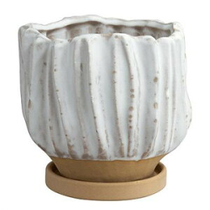 �O���[���|�b�g �A�ؔ� ���@�� �z���C�g 15.5cm HO-4615WH 4��