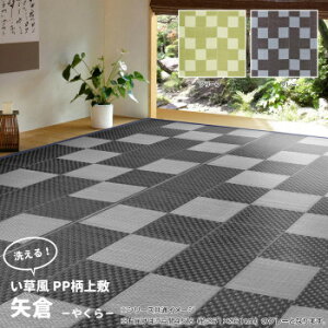 �􂦂邢�����J�[�y�b�g ��q �]�ˊ�4.5�� �O���[ ��261×261cm 81947745