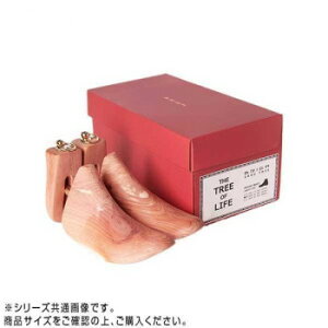 BRIGA(�u���K) �V���[�g�D���[0031AC-BOOT�@L