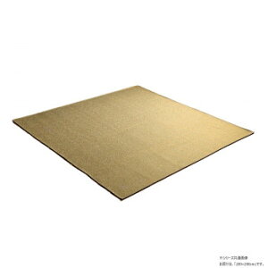 �J�[�� �W���K�[�h���O 200×290cm �C�G���[ 1293290297502