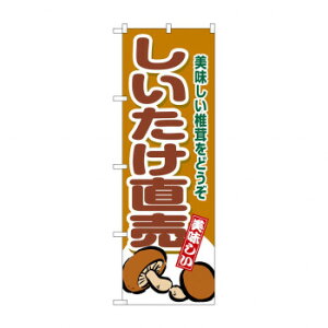 ��G_�̂ڂ� SNB-9780 ������������