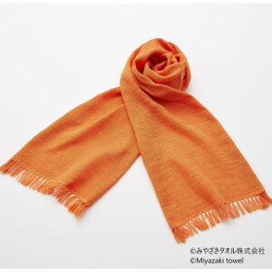 �݂₴���^�I�� �����}�t���[ �X���u 160cm×34cm No.28 �����F