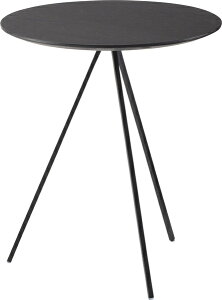 TChe[u e[u iCge[u ACA ؐ VR I[N  Vv Eh ی^ 45cm 51.5cm 3{r d _ C_XgA ubN