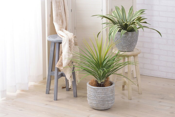 楽天市場】フェイクグリーン ミニパイナップル 観葉植物 人工観葉植物 