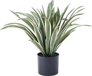 tFCNO[ AKx ϗtA lHϗtA t  CeA  [t  K[f   O[