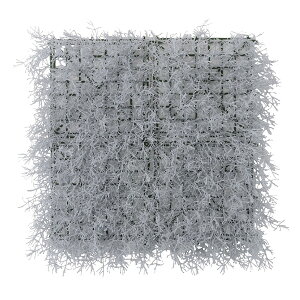 tFCNO[ pl O[pl EH[fR ǖʑ JtF  rO _CjO ʏ ItBX Xܗp |G` i W50 D8 H50 Ǐ CeAG zCg