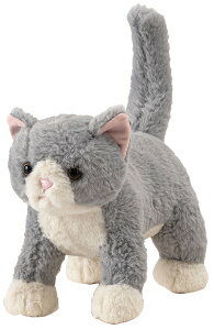 Aj}movemal(ނԂ܂) Aj} ʂ ʂ Lʂ ֐߂    ybgX  CeAG L ˂ lR 킢 v[g 