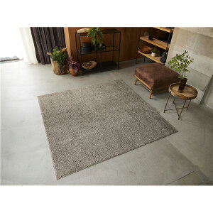 ラグ マット 絨毯 約幅190×長さ190cm ブラウン 無地 洗える 日本製 防ダニ 滑り止め加工 ホットカーペット対応 スミノエ ソル【代引不可】