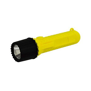 H LEDhd 10x CG[ NICHIDO-SF-10