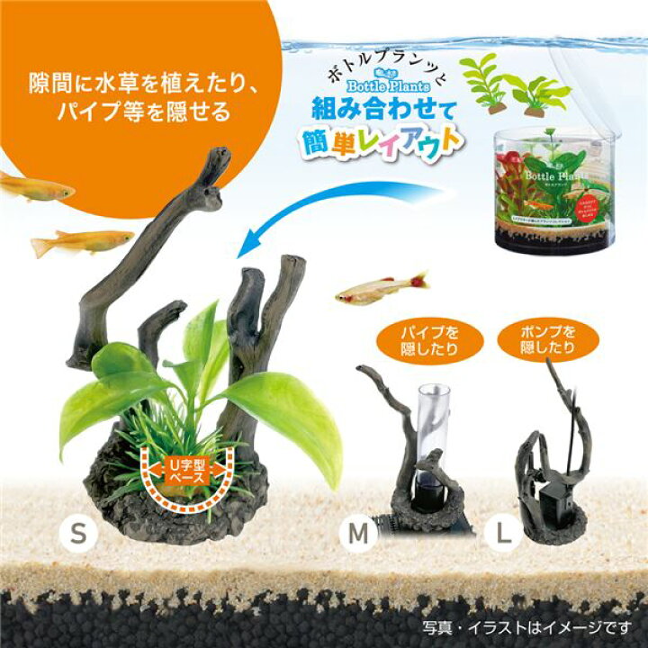 楽天市場】（まとめ）癒し水景 ボトルウッド M【×3セット】 (観賞魚 