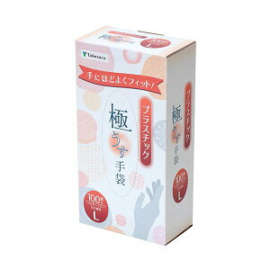 〔まとめ〕 竹虎 タケトラプラスチック手袋100 パウダーフリー L 1箱 (100枚) 〔×5セット〕 使い捨て手袋 使いきり手袋