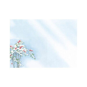 }R[ p Ɩp 3lGʂ܂ ԉ(͂Ȃ݂) V (100) yamaco66459