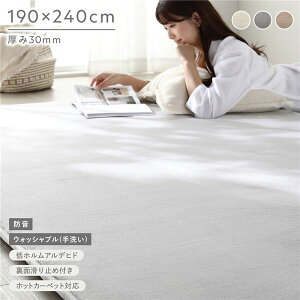 �������� �h�� ���O ��190×240cm ���C�g�O���[ �E���^�� �t�����l�� ����~�߉��H �Y���ɂ��� ���OK �􂦂� �E�H�b�V���u�� �z�b�g�J�[�y�b�g ���g�[�� �E���^��30mm�� ��v �I�[���V�[�Y�� 