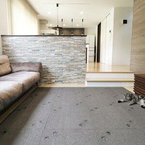 O^XNIKUKYU ^CO ĂĂ GRY O[ y50×50cm^10Zbgzysz