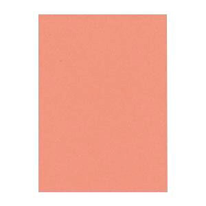 i܂Ƃ߁j ^ j[J[R lc 392×c542mm 4NCR-127 T[ 100 y×2Zbgz