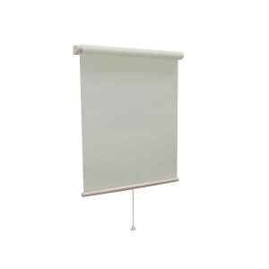 ���_�� ���[���X�N���[�� �y�Ռ�2���h�� 180cm×220cm �u���[�z ���{�� �����X�s�[�h�����@�\�t�� �w�e�B�I���I�x�y����s�z
