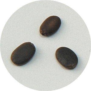 (܂Ƃ)A[ebN ؂̎ w`} y×60Zbgz