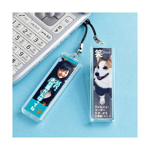(�܂Ƃ�)�T�����T�v���C ����X�g���b�v�L�b�g(�X�e�B�b�N�^) JP-ST14�y×5�Z�b�g�z