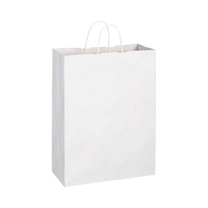 �i�܂Ƃ߁j TANOSEE ���� �ەR ���� ���R360×�^�e480×�}�`��170mm �����n 1�p�b�N�i50���j �y×2�Z�b�g�z