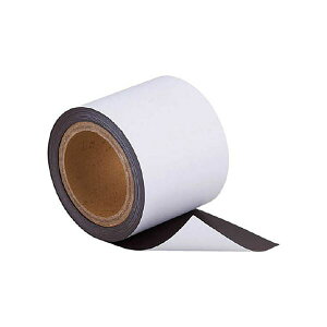 TRUSCO �J���[�}�O�l�b�g���[��0.4×200mm×10m TCMR-04-20-10W 1��
