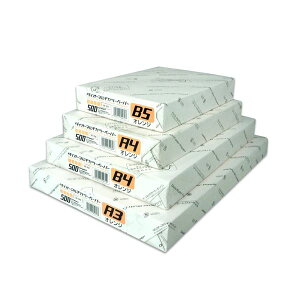 (܂Ƃ߁j剤 }`J[ CW-620C A4IW500y×5Zbgz