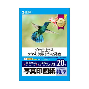 �T�����T�v���C �C���N�W�F�b�g�ʐ^��掆�E���� JP-EP2NA3N